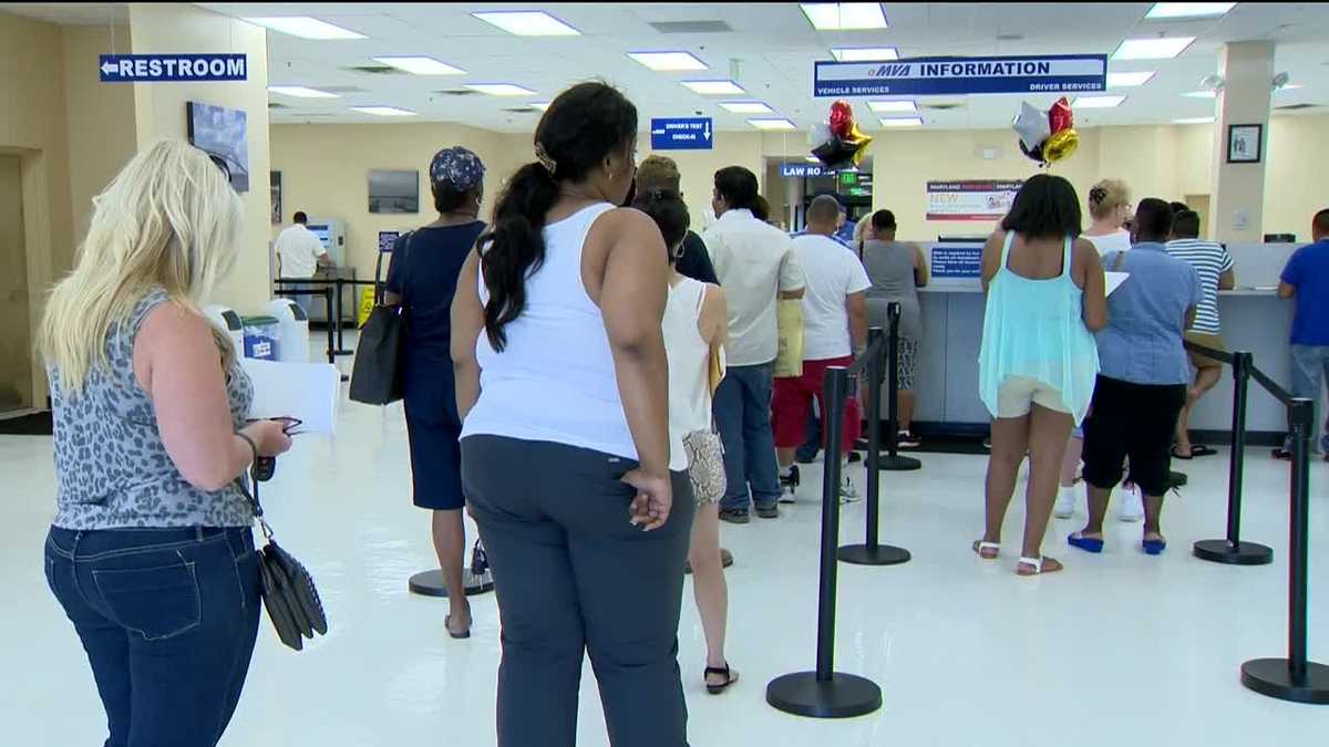 Maryland driver's license renewal goes online