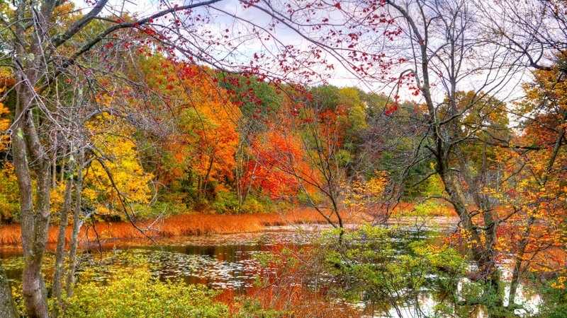 Top New England fall foliage spots ranked