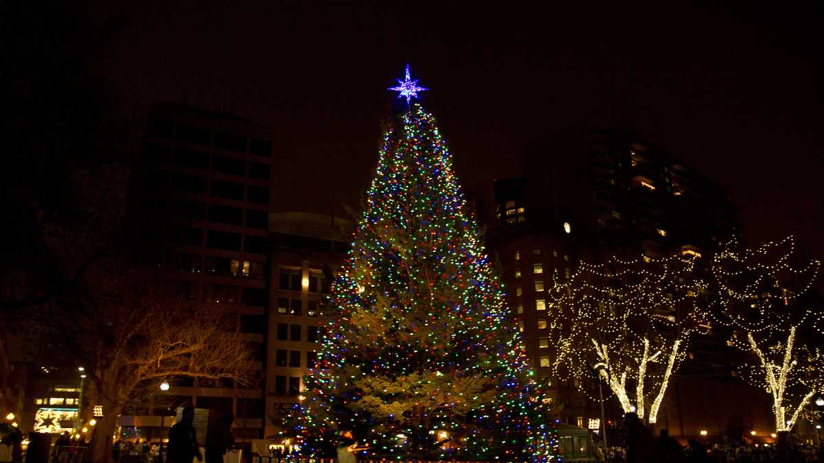 boston common christmas tree lighting celebration boston common christmas tree lighting celebration