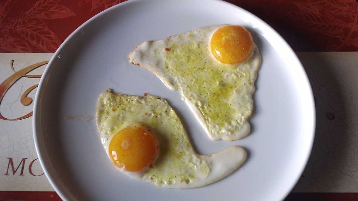 Foods most likely to make you sick