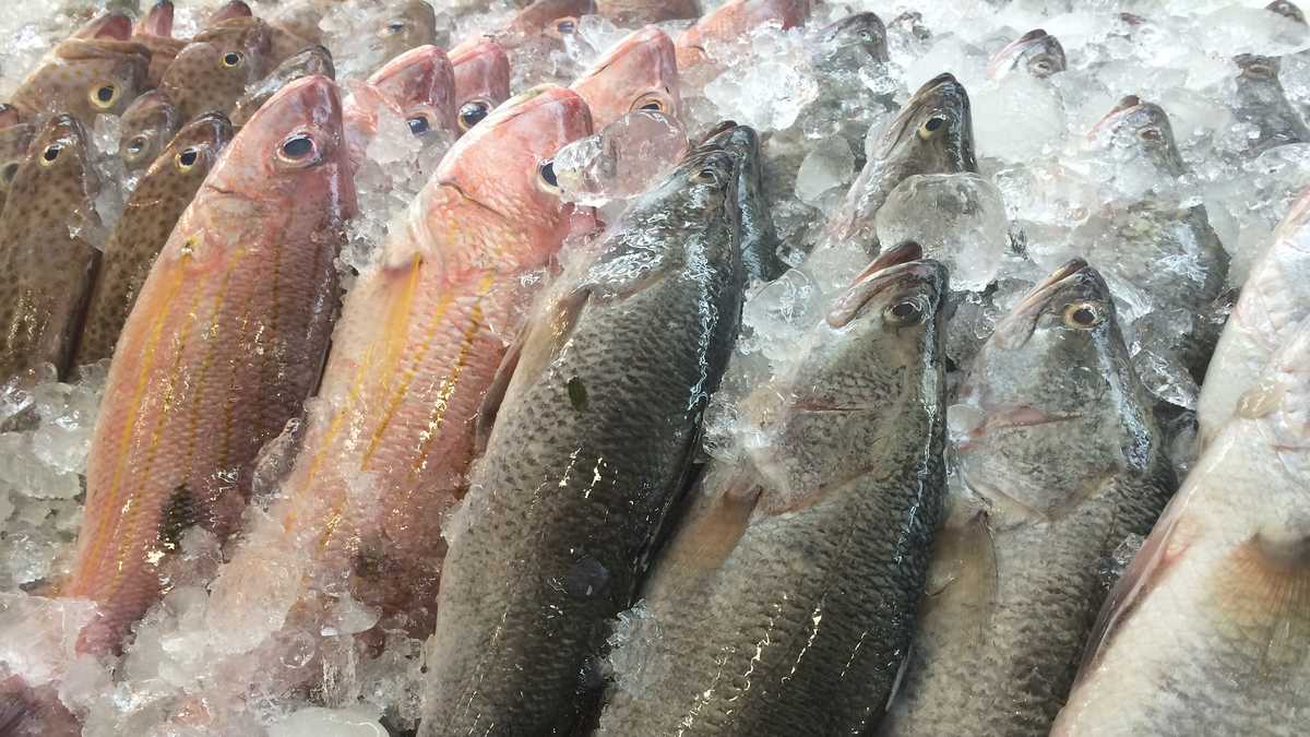 Safest fish to eat, fish to avoid