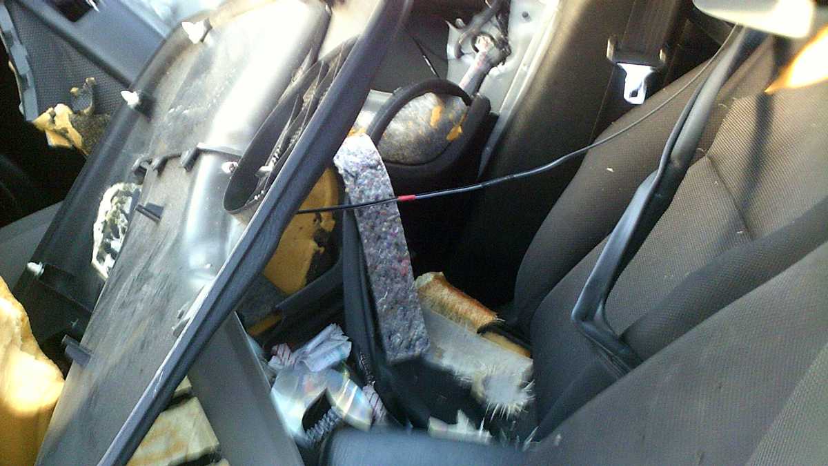 Images Trapped bear tears apart car interior