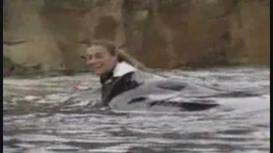 Trainer killed by orca at SeaWorld Orlando 5 years ago