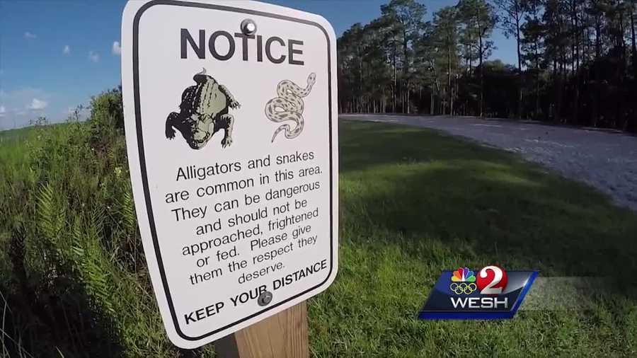 dozens of new alligator warning signs posted in orange county