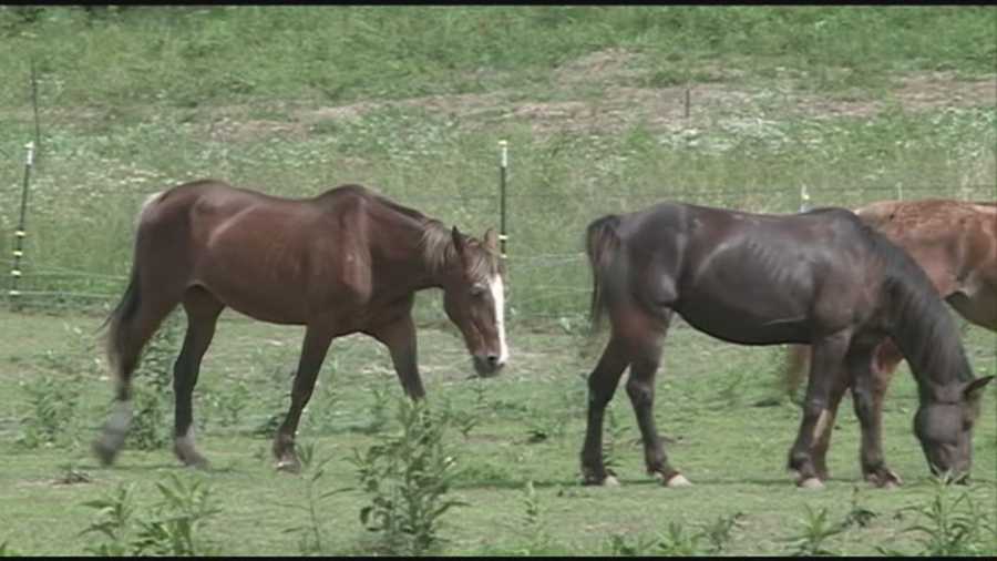 12 animals seized from southern Indiana farm