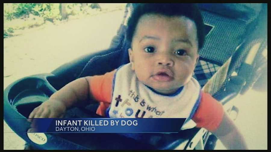 7-month-old attacked, killed by dog in Dayton