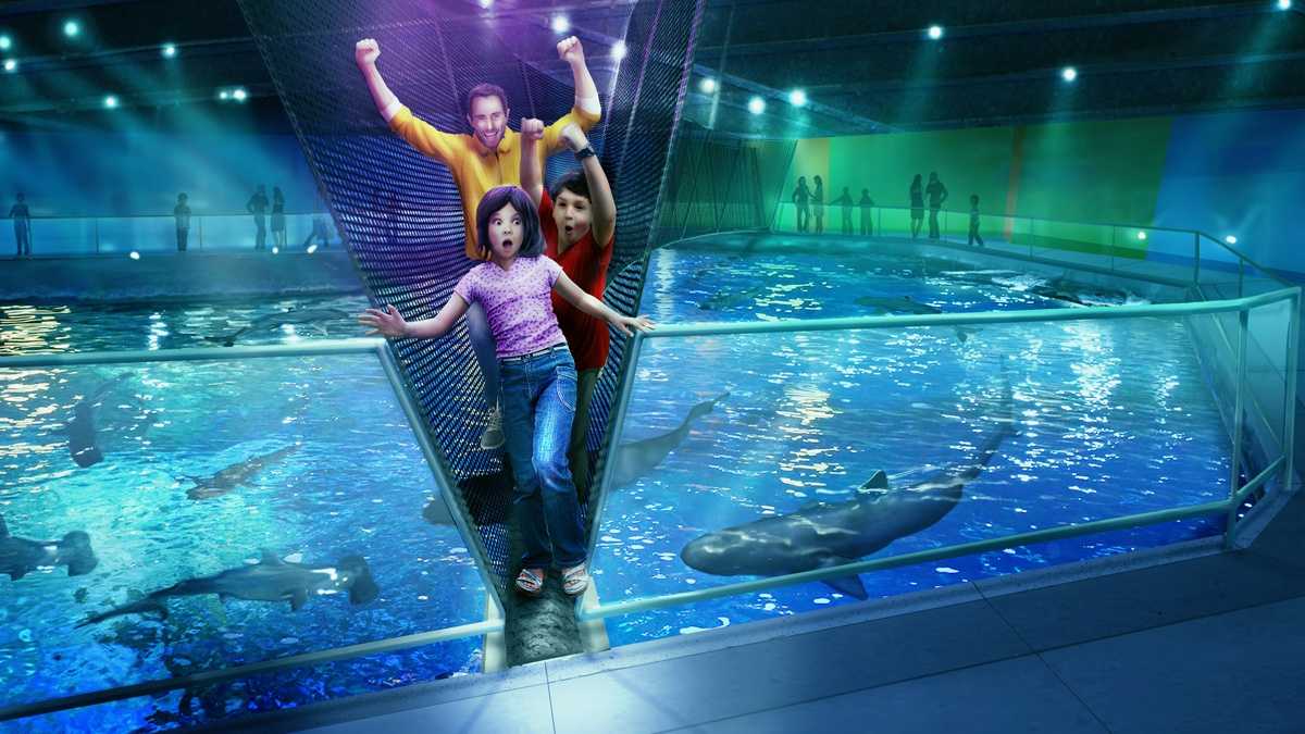 Newport Aquarium to add shark bridge, new exhibits