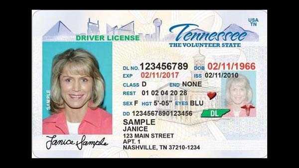 Does Tennessee Offer An Enhanced Drivers License Ohio