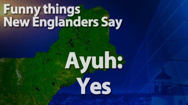 funny-words-phrases-new-englanders-say