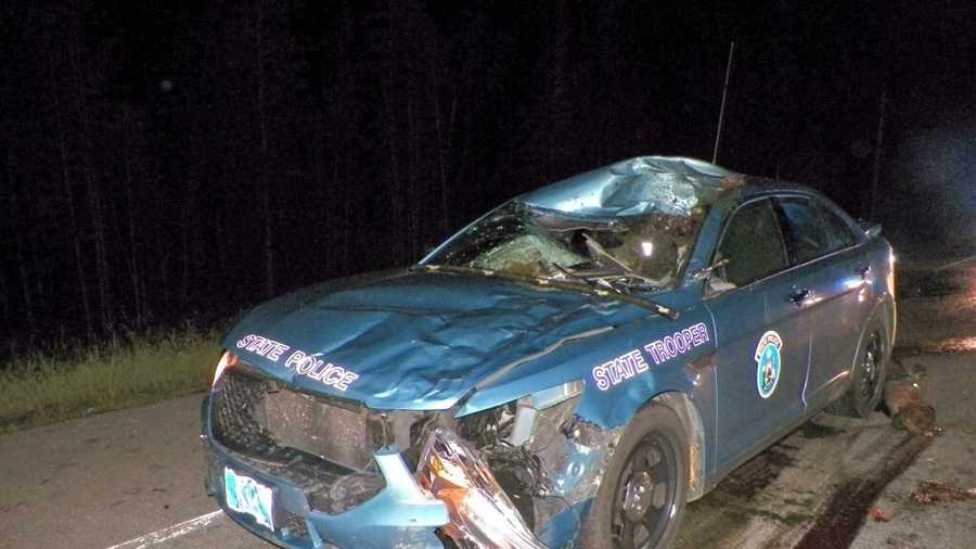 Maine state trooper injured in crash with moose
