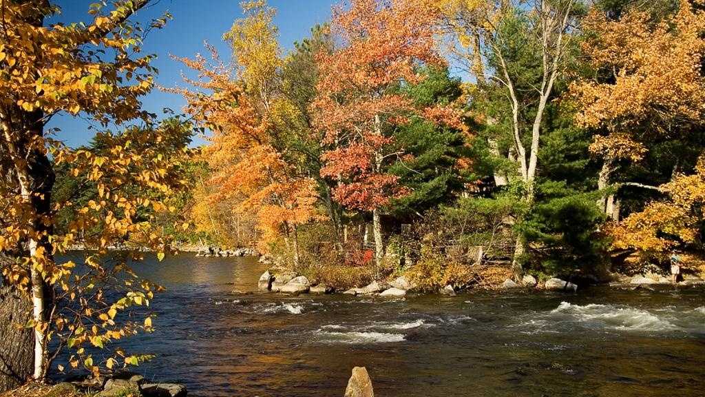 maine-s-favorite-fall-foliage-spots