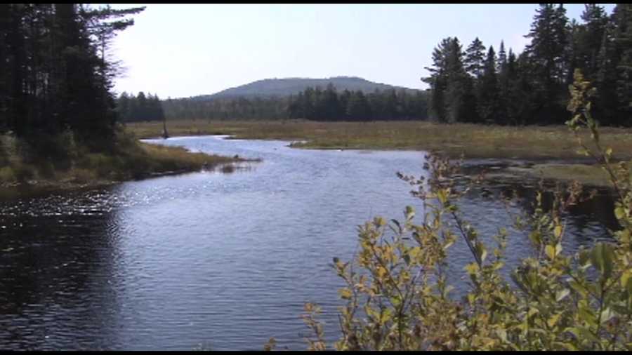 President designates National Monument in northern Maine woods