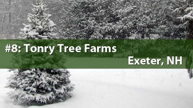 list new hshire s favorite places to get a christmas tree list new hshire s favorite places to get a christmas tree
