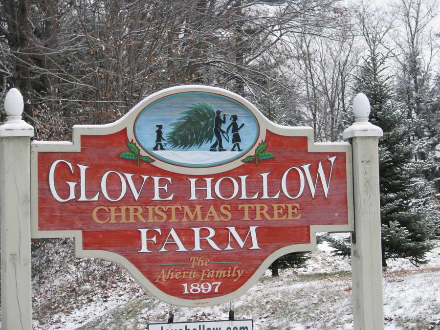 photos two beautiful christmas tree farms in nh photos two beautiful christmas tree farms in nh