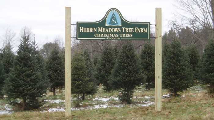 viewer s choice best christmas tree farms in new hshire viewer s choice best christmas tree farms in new hshire