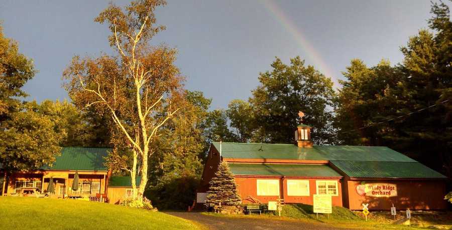 Viewer's Choice: Best apple orchards in New Hampshire