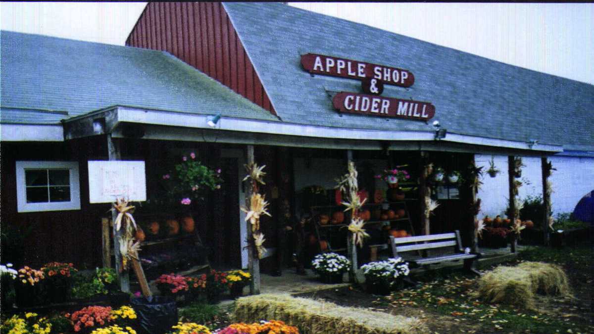 Viewers' Choice 2016 Best apple cider doughnut in New Hampshire