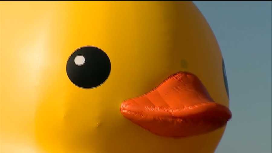 Photos: Giant rubber duck floats down Pittsburgh's rivers