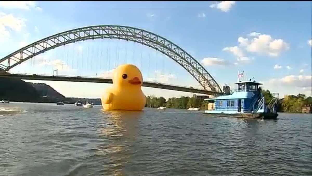 giant duck float