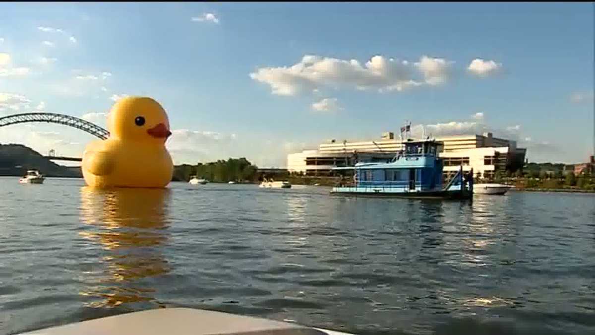 giant duck float