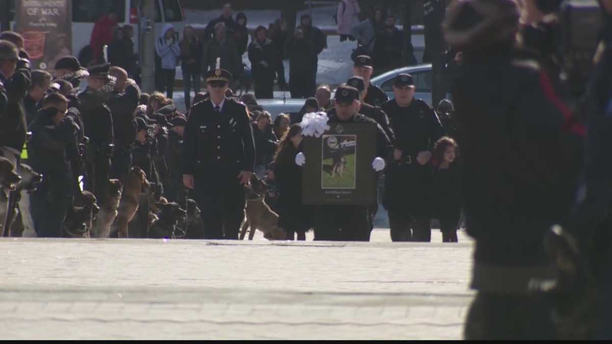 Photos Funeral procession for K9 Officer Rocco