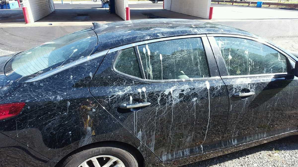 Paint splatters cars going through McKeesport car wash