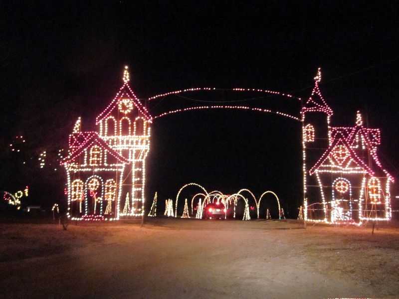 pictures the holiday lights safari at hollywild animal park pictures the holiday lights safari at hollywild animal park