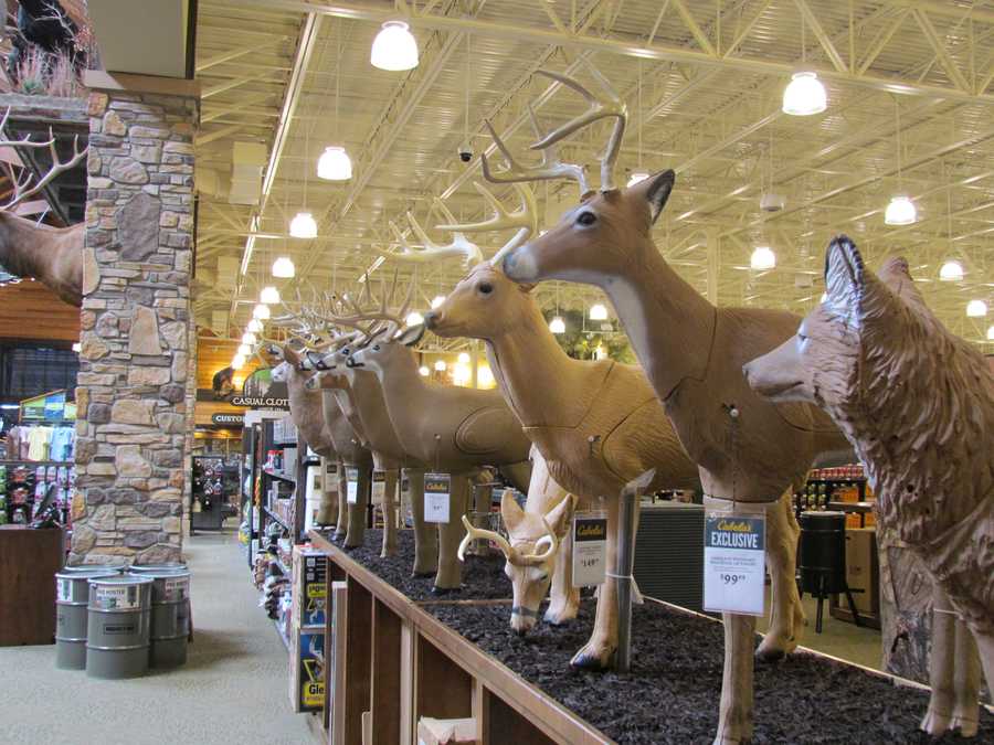 Sneak peek inside Greenville's new Cabela's