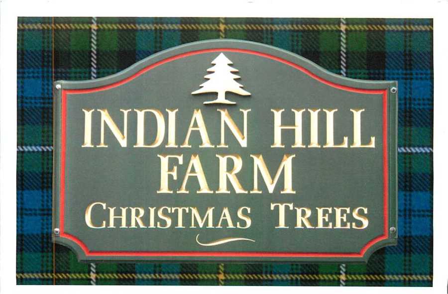 viewers choice 2016 best christmas tree farm in new viewers choice 2016 best christmas tree farm in new