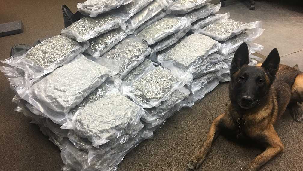drug trafficking in the u s drug trafficking in the u s