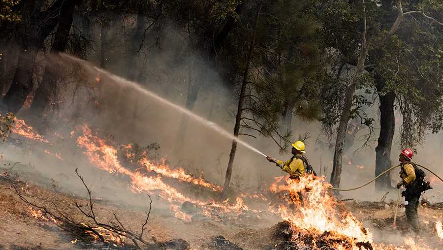 Fire fighters spray down trees close to the control line north of Arroyo Seco.