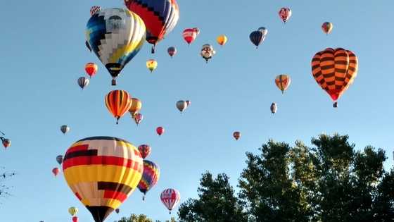 WATCH LIVE: Day 8 of Balloon Fiesta kicks off