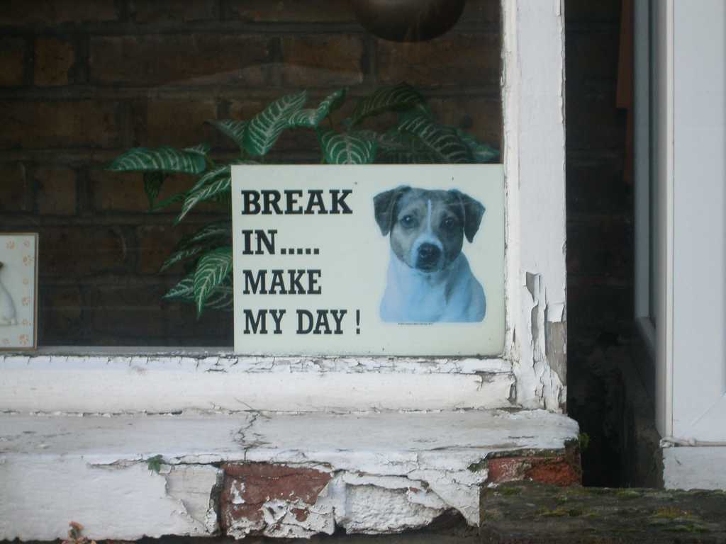 Former burglars reveal the most effective ways to stop your home being robbed