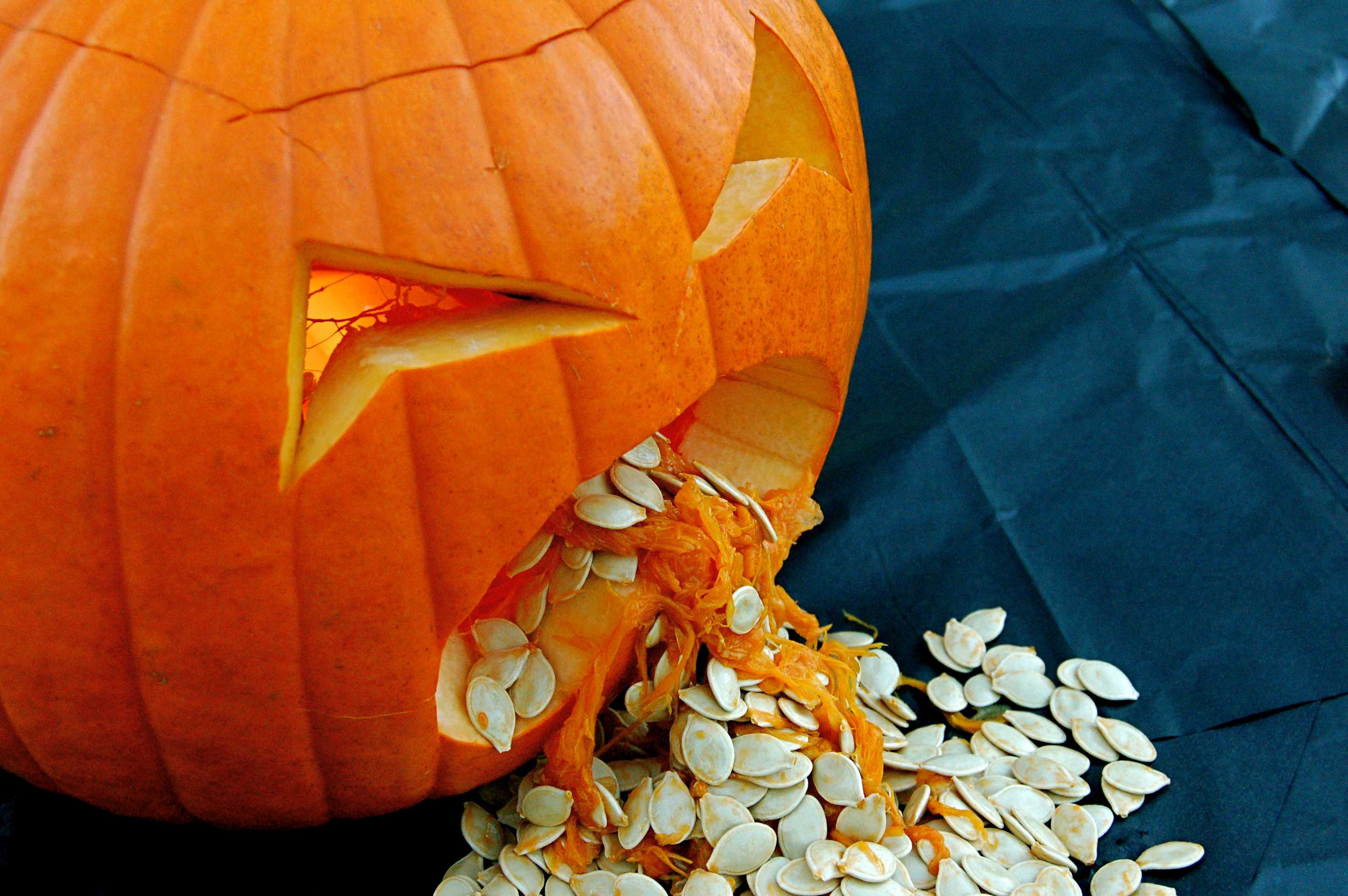 13 times pumpkin spice went too far