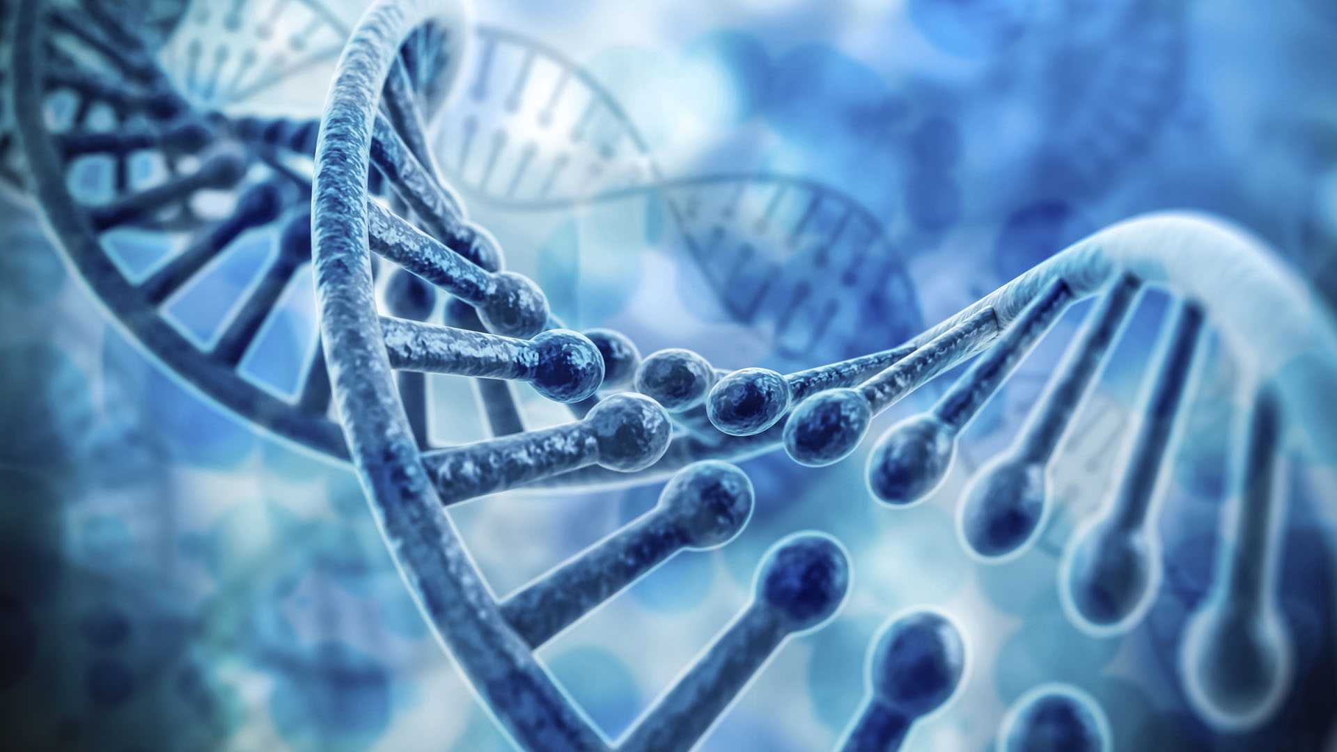 Human DNA tied mostly to single exodus from Africa long ago