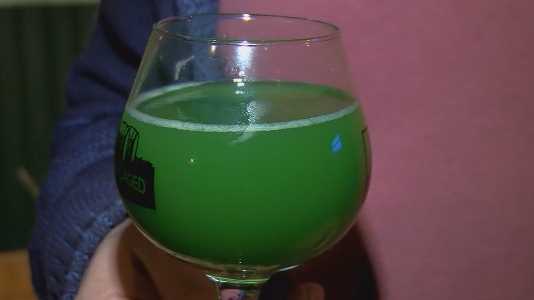 Craft beer lovers enjoying algae-inspired beer