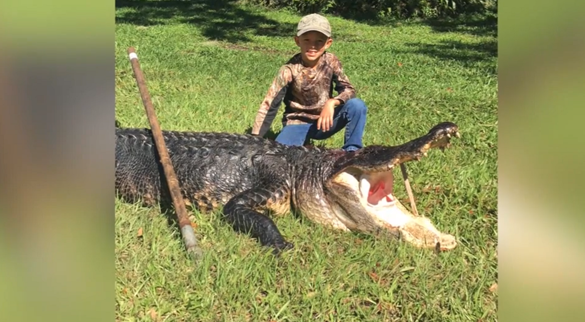 8-year-old Florida boy catches 11-foot alligator