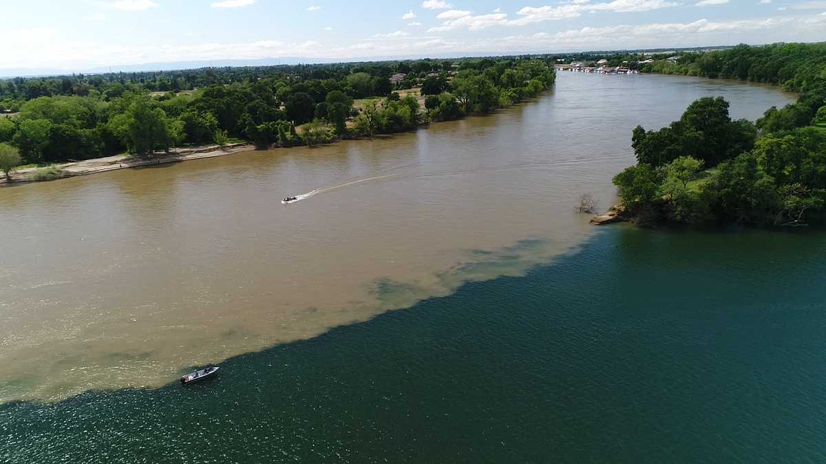 4 surprises in Sacramentoarea rivers you won’t see coming