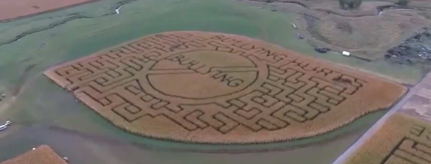 Take a look at this anti-bullying message in corn maze