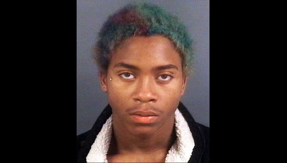 Officials: Teen choked girlfriend, decapitated her puppy