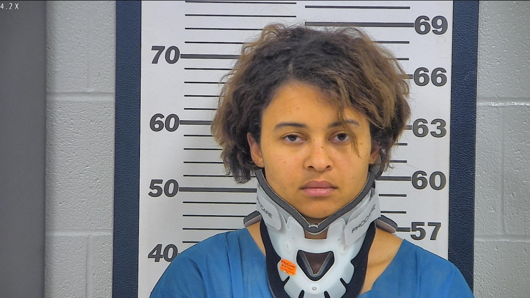 Mother facing charge following son's bathtub drowning