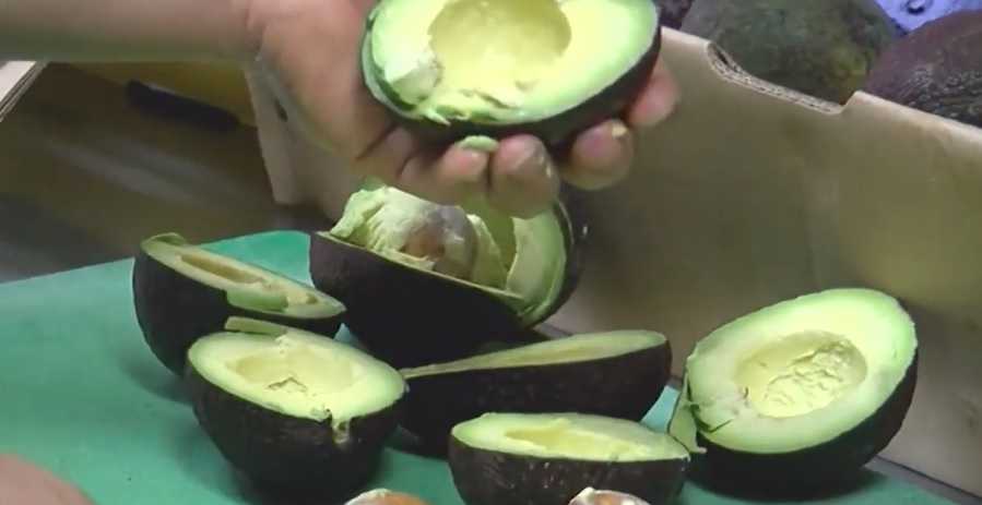 Engagement rings inside avocados is a thing now