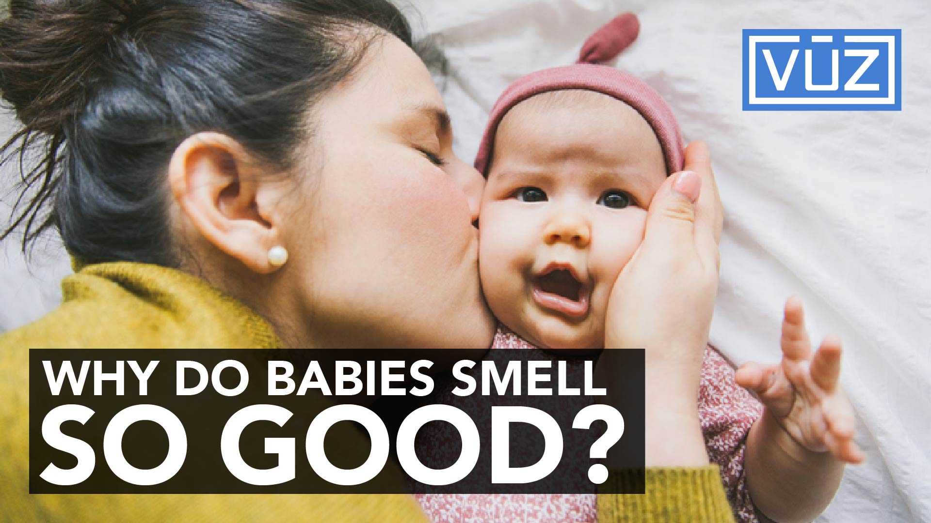 there-s-a-reason-why-babies-smell-so-good-kansas-news-newslocker