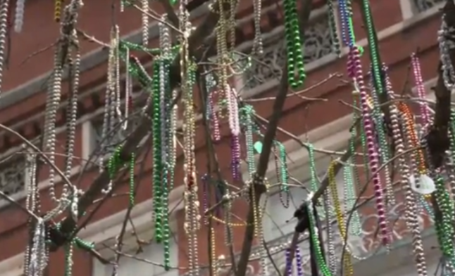 New Orleans Catch Basins Clogged With More Than 46 Tons Of Mardi Gras Beads Np 