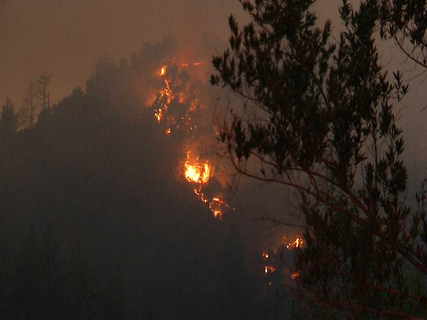 Man arrested in connection to Santa Cruz wildfire