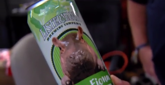 Cheers to Fiona: Cincinnati brewing company makes hippo beer