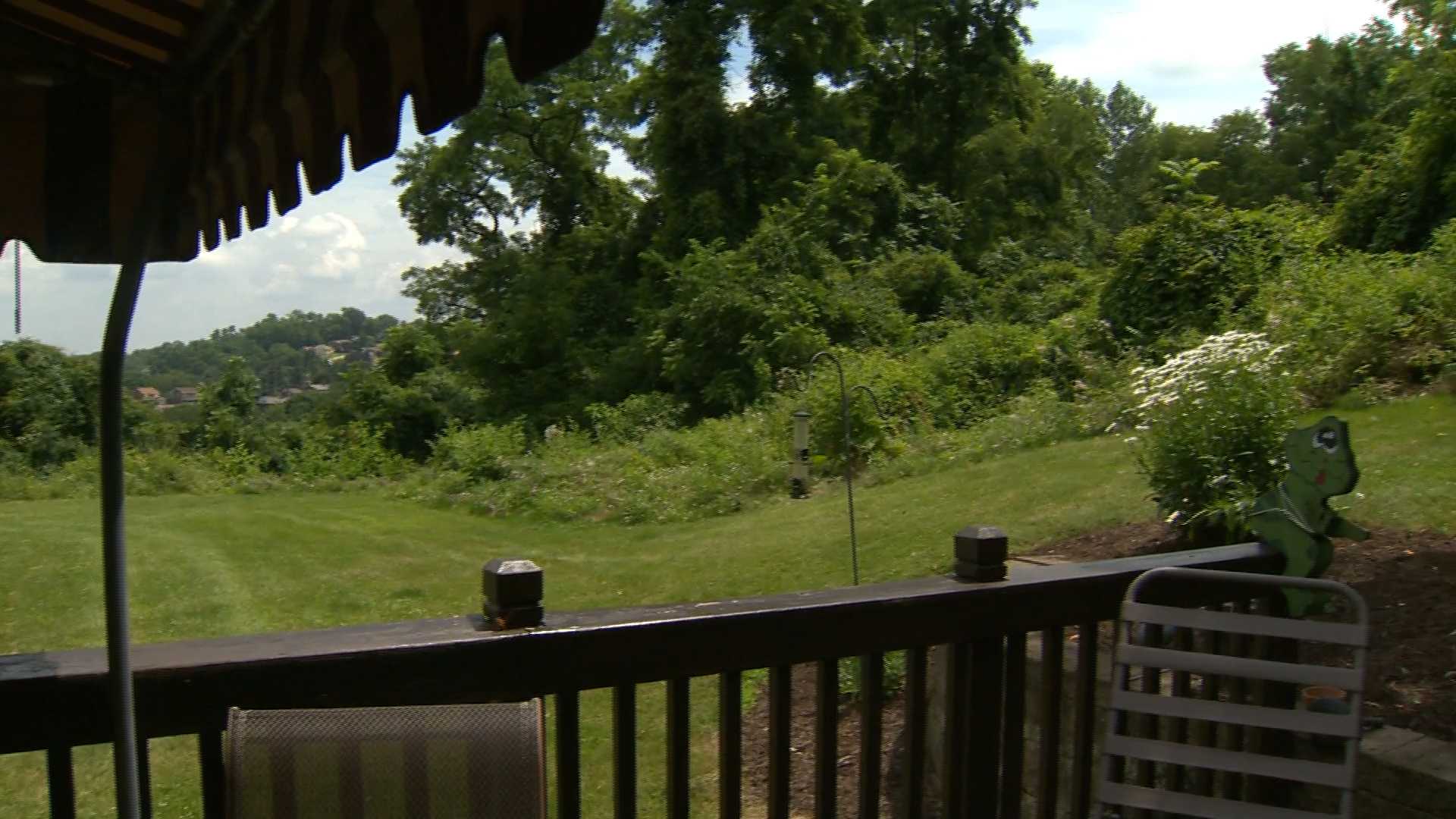 Woman believes back yard may be deathtrap for dog