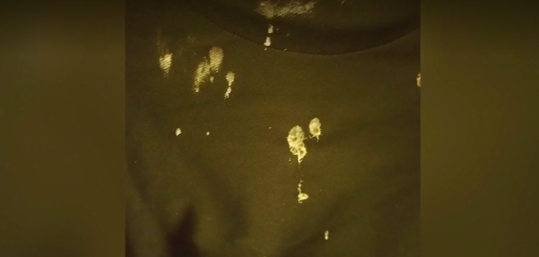 Pickpocketers distracting victims with bird poop scam