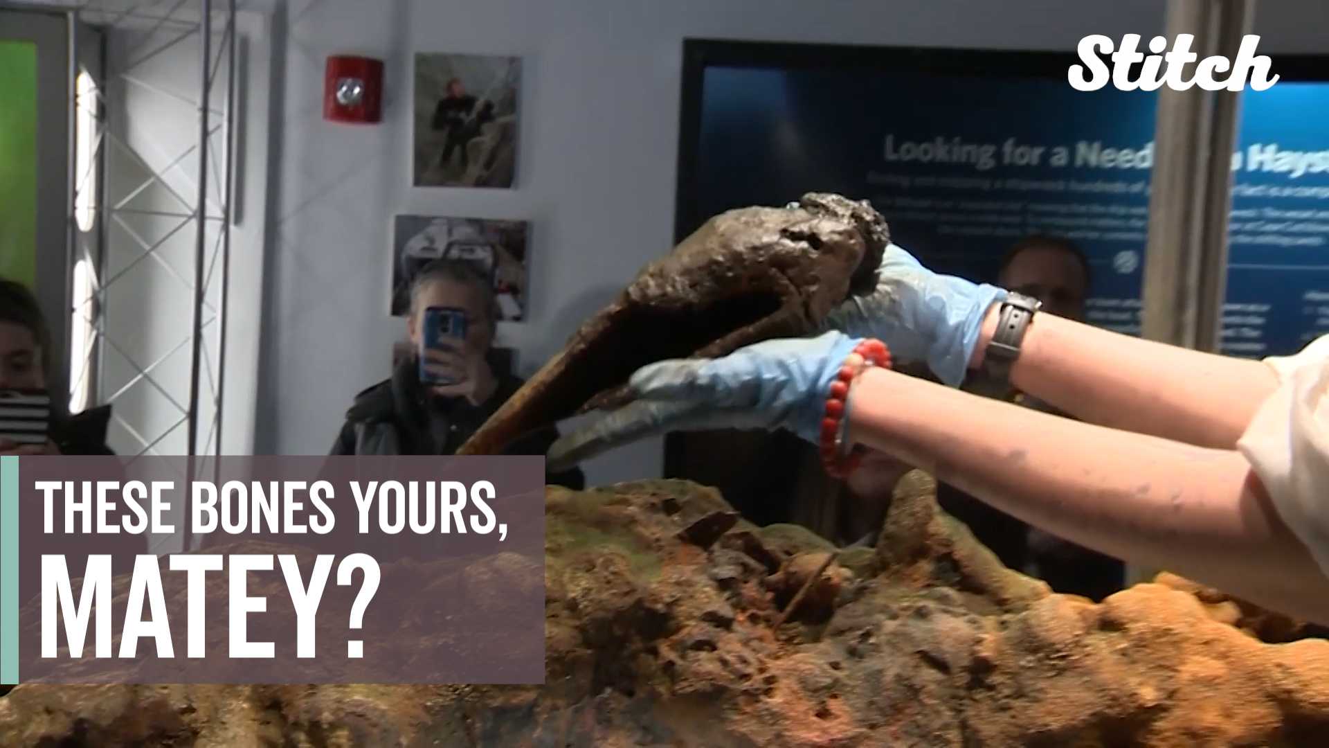 Bones believed to be infamous pirate Black Sam recovered from shipwreck