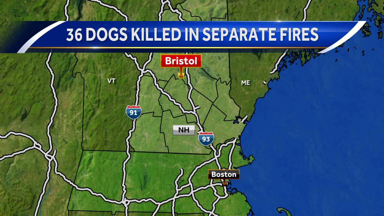 36 dogs killed in separate fires 3 weeks apart at New Hampshire kennel